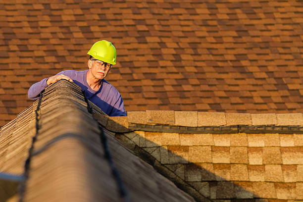 Best Roof Maintenance Services  in Bennington, NE